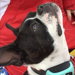 Meet your Posher, Pokey2001